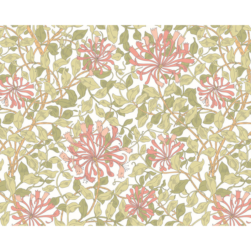 Murale olive chèvrefeuille, Rose