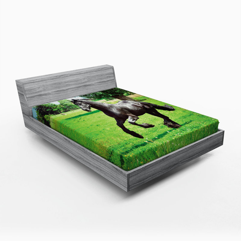 Drap-housse en chevaux, Double