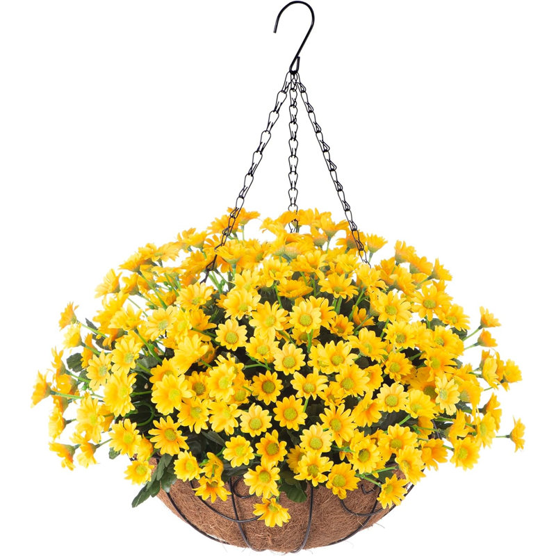 Arrangement de marguerites dans un panier