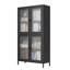 Armoire en métal avec verre trempé gaufré pour le salon - noir Matériau de la tablette latérale à 4 tablettes