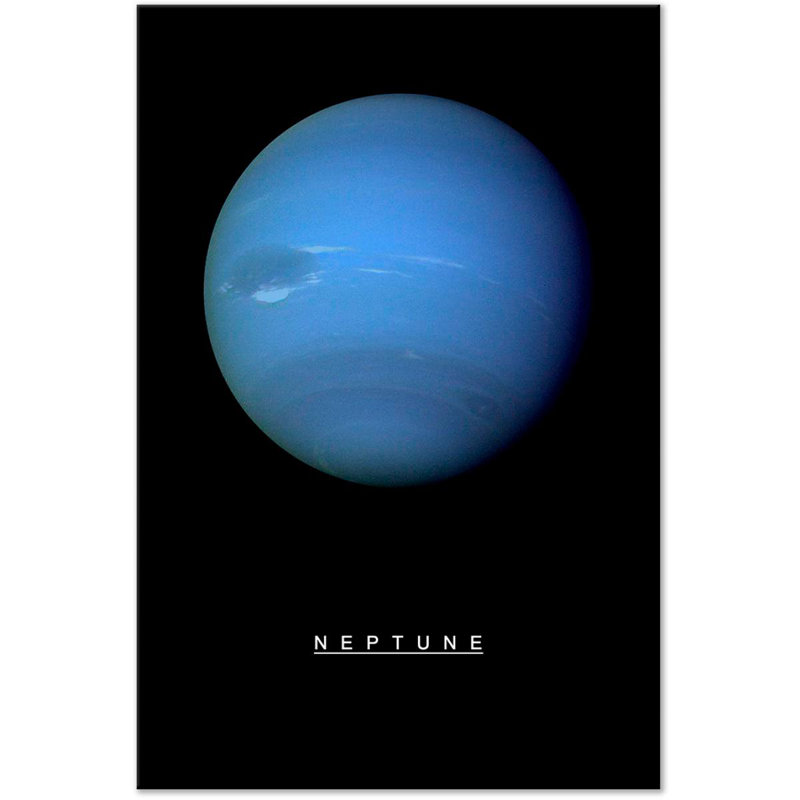 " Neptune " Graphic Art Print, 16" W x 24" H