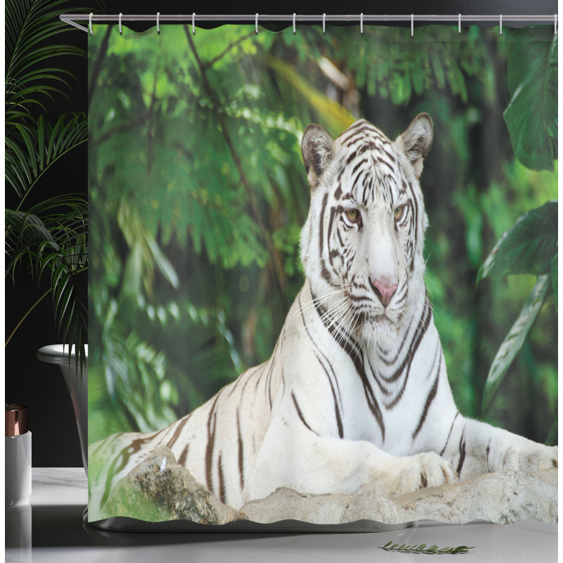 Ensemble de rideau de douche tiger et crochets, H 70 po x l 69 po
