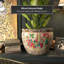 Medallion Urn-347584823-347584818