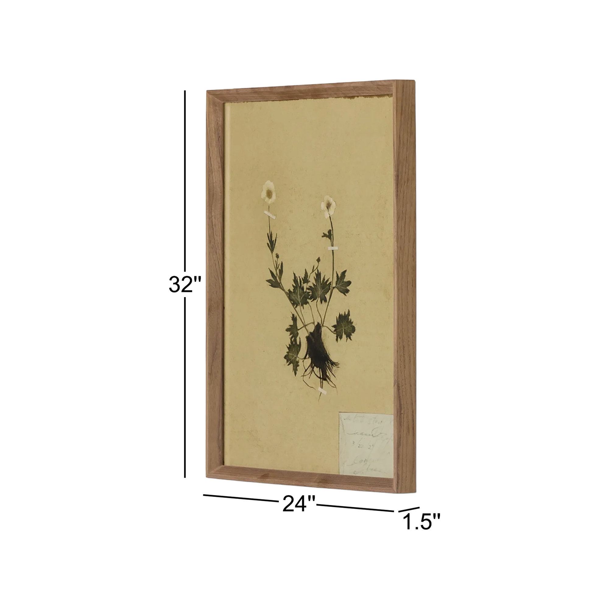 Petite Study No. V by Hannah Winters, 32" H x 24" W