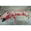 Papier peint amovible rétro Flamingo-540401840