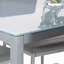 Emmye Glass Top Metal Base Dining Table-311499728