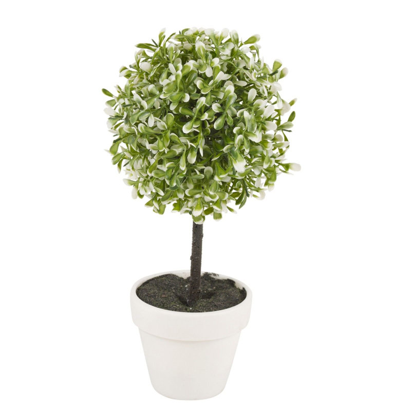 Olive Tree Tree in Pot, 27cm H x 15cm W x 15cm D, Green