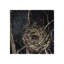 Nest III Print by Sarah Atkinson-26948098-26948102