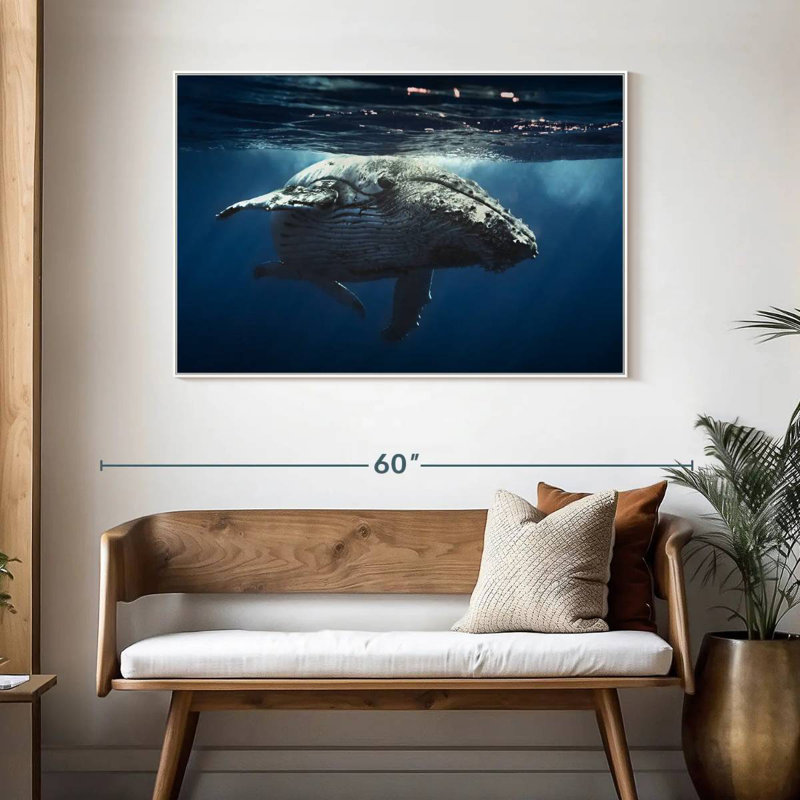 Baleine écumante, 46 po x 31 po, Cadre flottant blanc