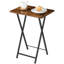 Reinhart 26"H TV Tray Table Set