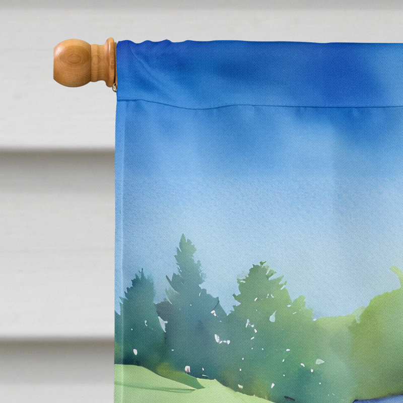 Double Sided 40'' H x 28'' W Polyester House Flag