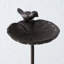 Aleana Scallop Shell Birdbath