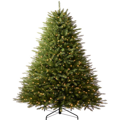 Lighted Christmas Tree
