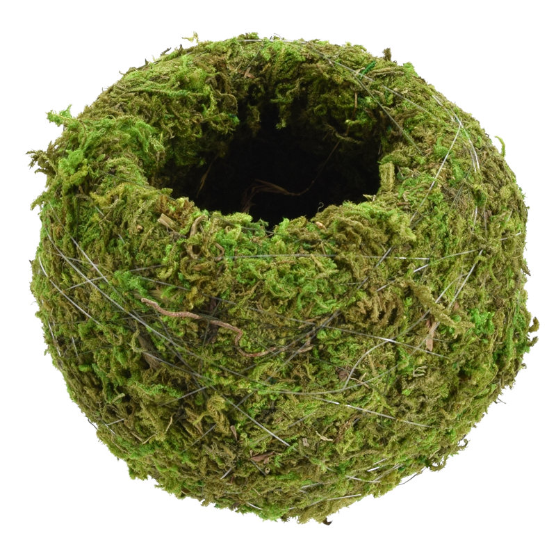 Bumgarner Pot Planter, 3.5" H x 4" W x 4" D, Green
