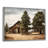 Pine Tree Rustic Charm - Print on Canvas-790979158-752216809