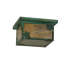 Rustic Lodge 2 - Light Flush Mount-124968153