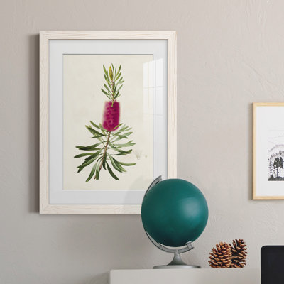 «Pretty Botanicals VII», impression encadrée