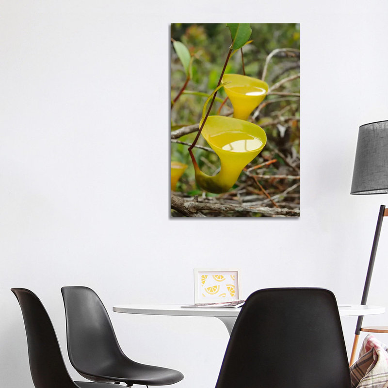 Ch'ien Lee - Wrapped Canvas Print, 101.6 cm H x 66.04 cm W x 3.175 cm D