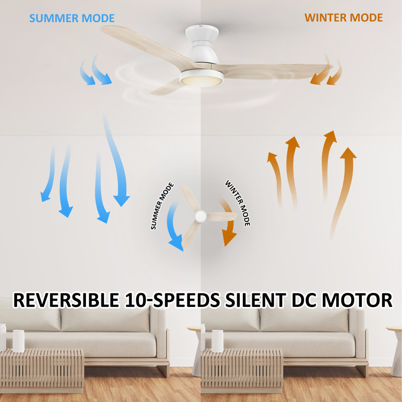 Ventilateur de plafond encastré à 3 pales en bois massif 52 "avec lumière, Blanc, Blanc