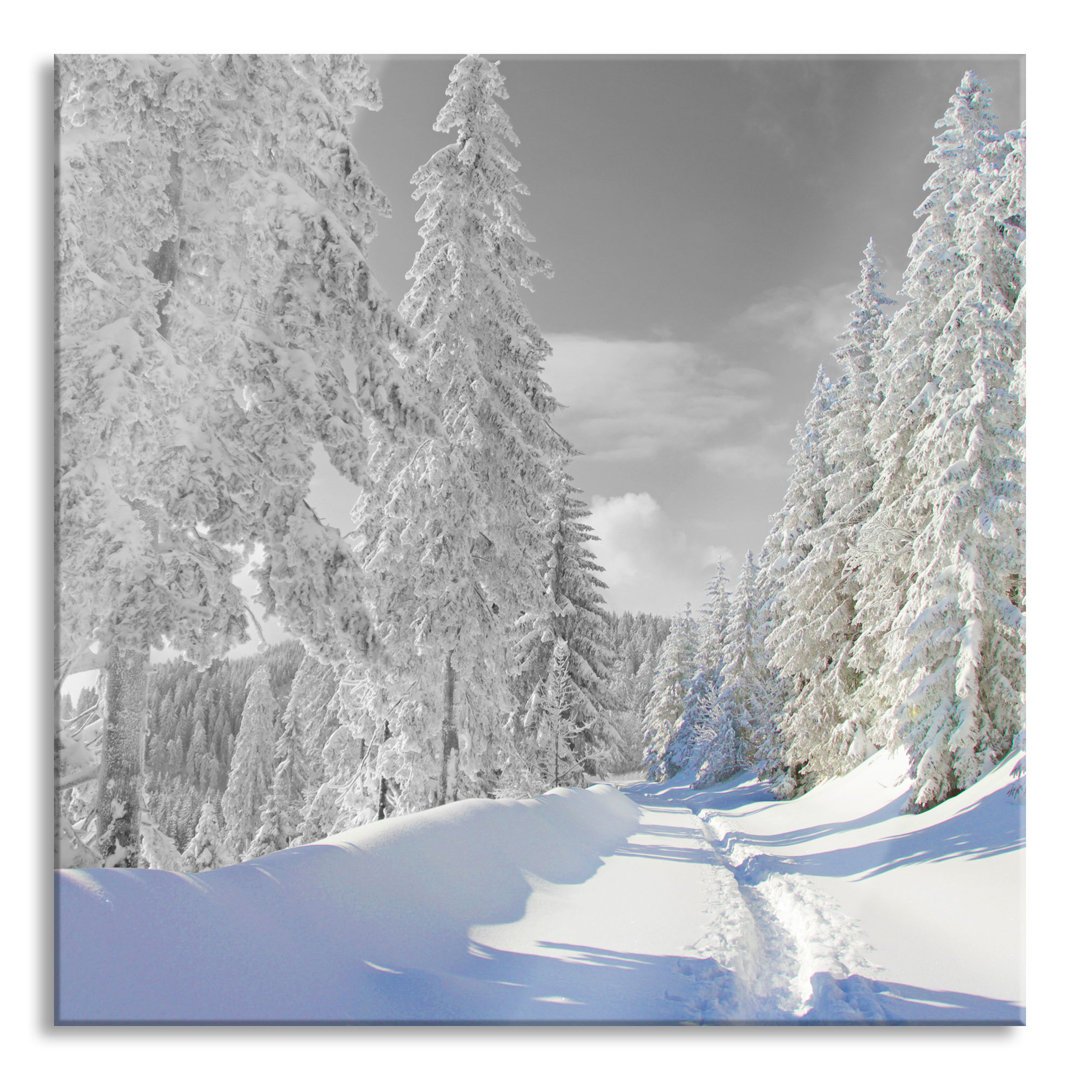 Glasbild Winterlandschaft mit Bäumen