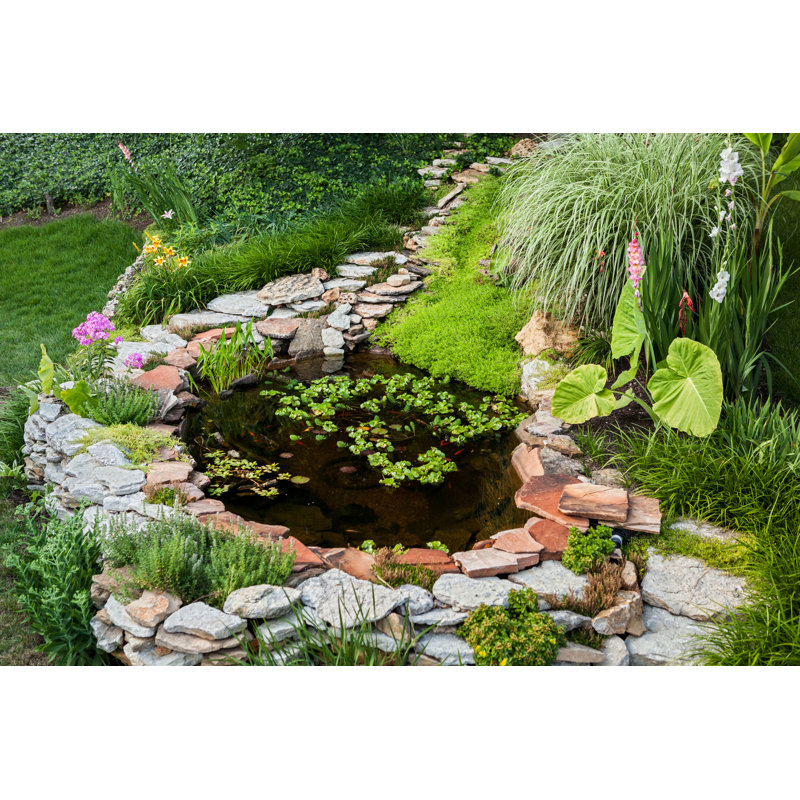 Backyard Pond - Photographie sur toile tendue, H 8 po x l 12 po