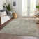 Machine Washable Indoor/Outdoor Chantille ACN1107 Beige Rug