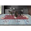 Hand-Knotted High-Quality Rust Area Rug