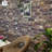 19.7" x 39.4" 3D Wall Panel (10 pack)-72349291