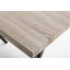 Basinger Rectangular Dining Table with Iron Base