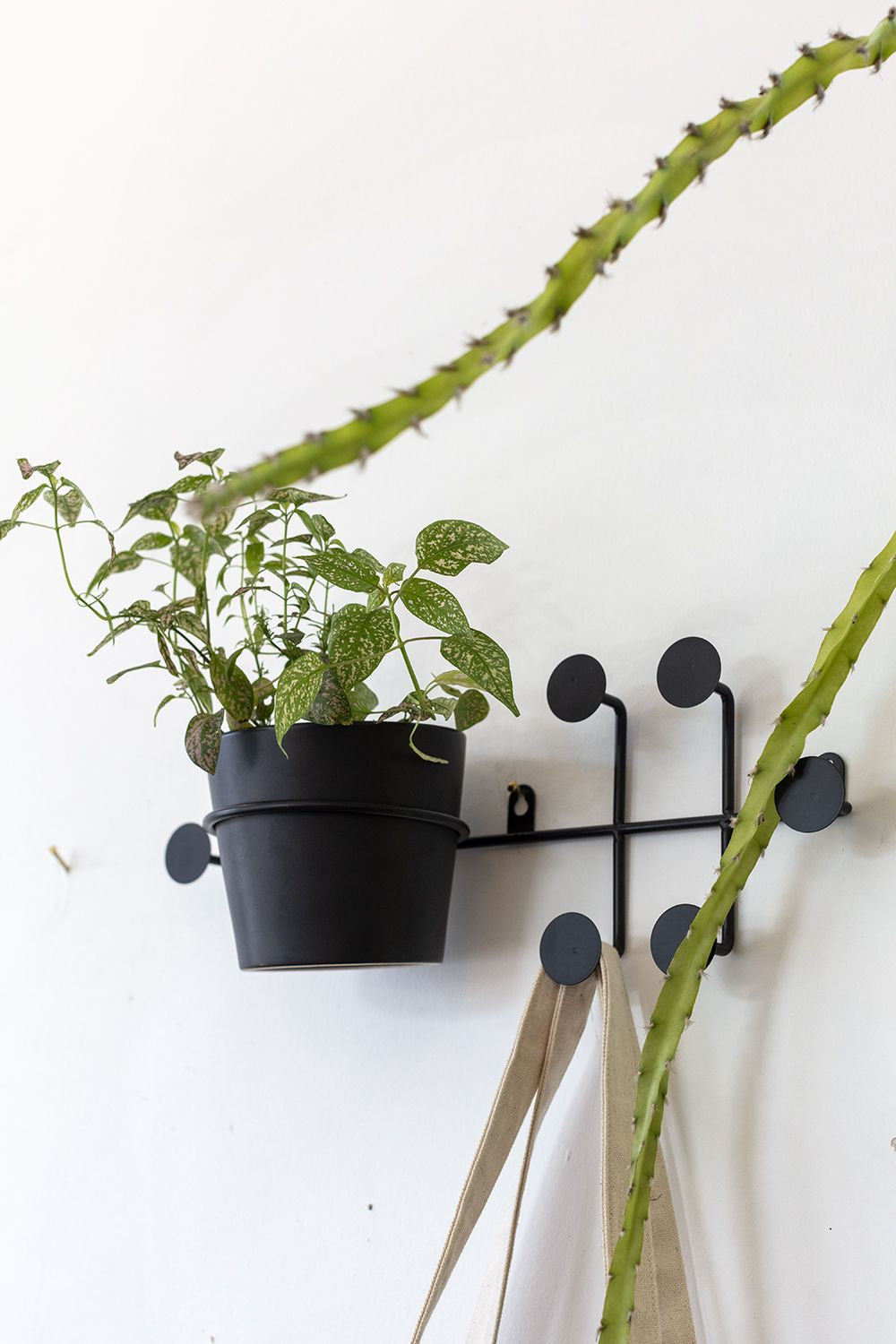 Angelina 14" Ceramic Wall Planter