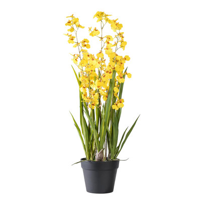  Orchidée jaune en pot, 7,5 po de diamètre et 31,8 po de hauteur