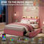 Structure de lit double, structure de lit tapissier Velet avec tête de lit réglable et 2 tiroirs, lit simple avec lumières DEL, pas de sommier nécessaire, assemblage facile, rose-129388514-129388516