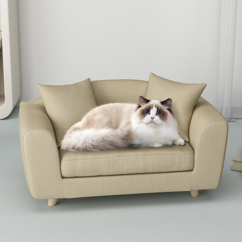 Canapé pour chien