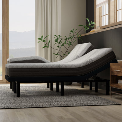 8” Essentials Comfort Reactive - Medium Firm
