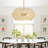 Nekoosa 4-Light Dimmable Geometric Chandelier 