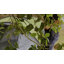 Tente escamotable pour 4 personnes-92256258