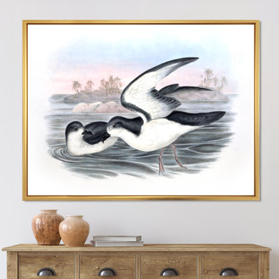 «Vintage Australian Birds X», impression sur toile