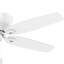 54" Durant 5 - Blade Flush Mount Ceiling Fan with Pull Chain