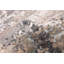 Tapis gris Legacy 2 pi 6 po x 9 pi 11 po