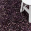 Hearn Shaggy Purple Rug-366141744