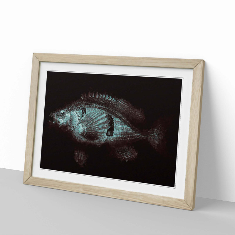 A Blue Fish - Framed Print, 33cm H x 45cm W x 2cm D, Oak Framed