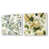 Cadre flottant blanc