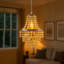 Innoteck 32 cm H Novelty Pendant Shade ( Screw On ) in Clear