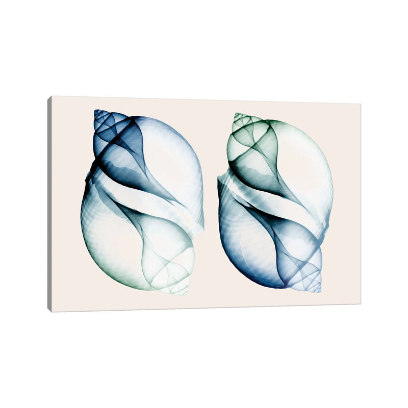 Split Breeze I by Albert Koetsier - Wrapped Canvas Print, 45.72cm H x 66.04cm W x 1.91cm D