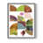 Gris n'est pas disponible