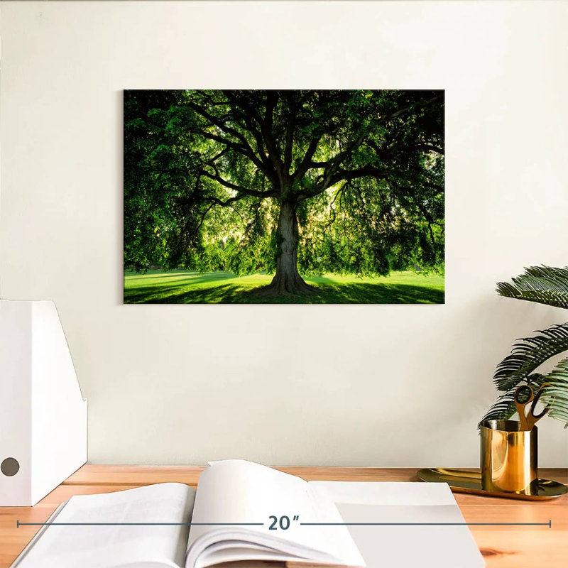 Arbre Harnek, H 8 po x l 12 po
