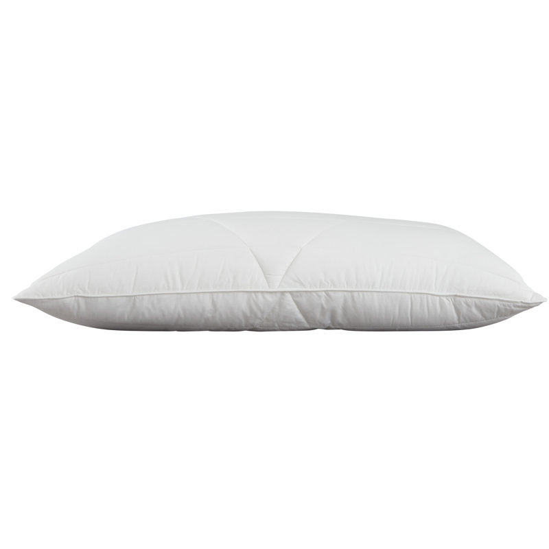 Hollander L75 x W50cm Pillow