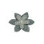 Washable Play Rug Pollination