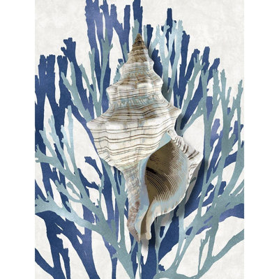 ArtDirect Kelly, Caroline Gallery Wrapped Canvas Art Titled: Shell Coral Aqua Blue III