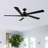 Athanafis Ceiling Fan with LED Lights-1437761266-1424666243-1443256917